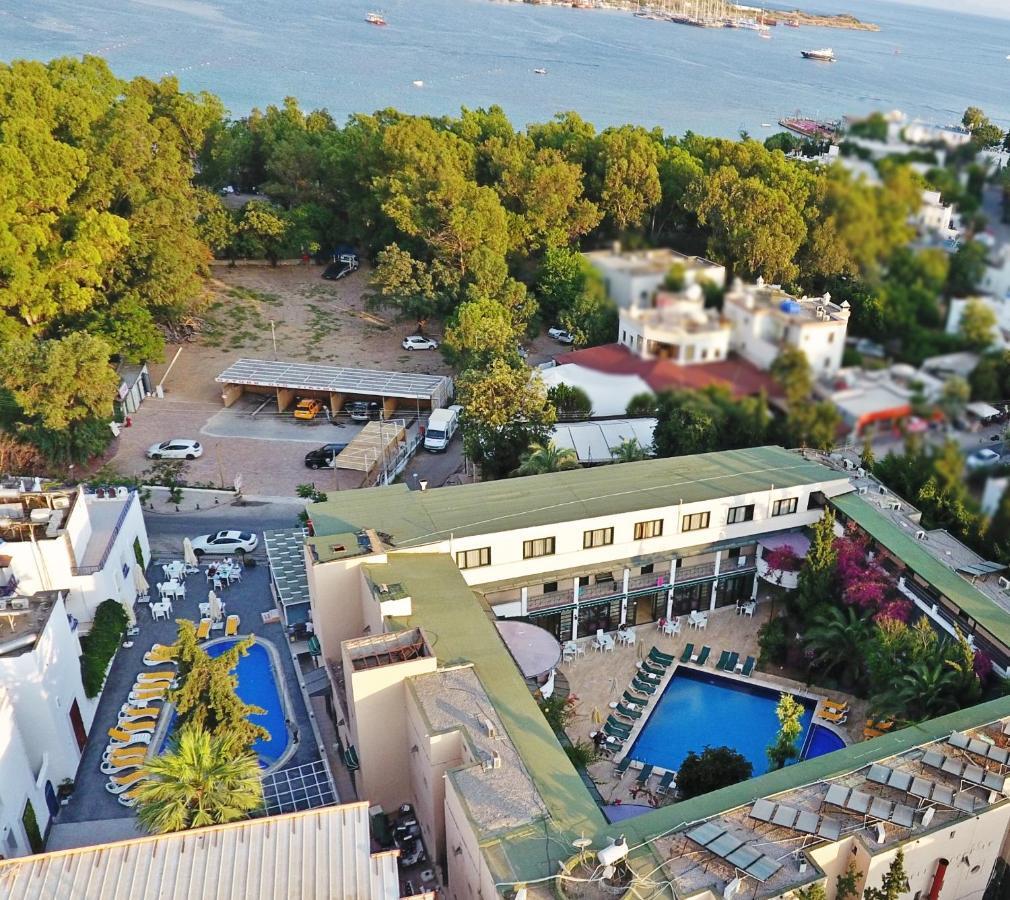 Sky Star Hotel - Bed&Breakfast Gümbet Exteriör bild